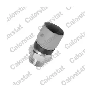 TS2647 CALORSTAT by Vernet