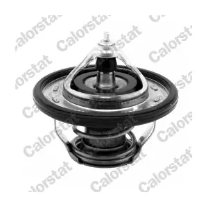 TH7239.90J CALORSTAT by Vernet