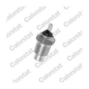 CALORSTAT by Vernet WS2509