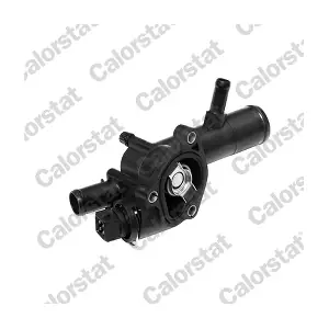 CALORSTAT by Vernet TH6666.89J