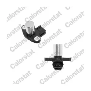 CS0094 CALORSTAT by Vernet