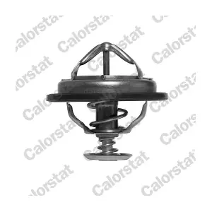 CALORSTAT by Vernet TH6525.82J