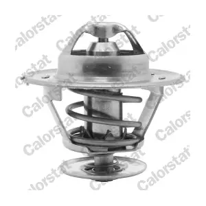 CALORSTAT by Vernet TH1418.83J