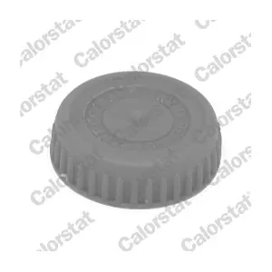 CALORSTAT by Vernet RC0185