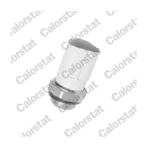 CALORSTAT by Vernet TS2671