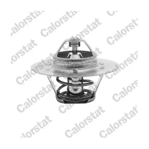 CALORSTAT by Vernet TH460880J