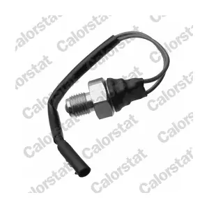 CALORSTAT by Vernet RS5592