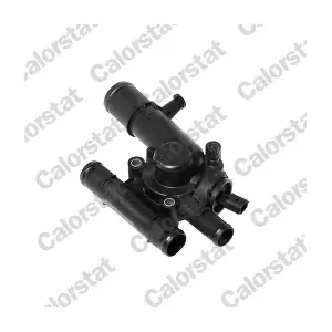 CALORSTAT by Vernet TH6937.89J