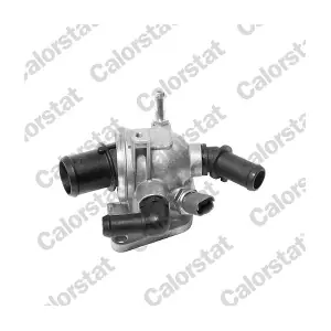 CALORSTAT by Vernet TH6981.88J