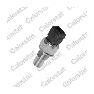 CALORSTAT by Vernet WS2502