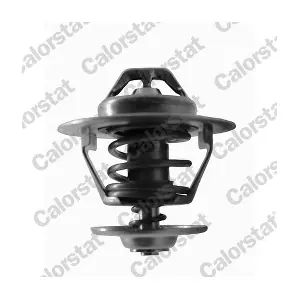 CALORSTAT by Vernet TH6434.82J