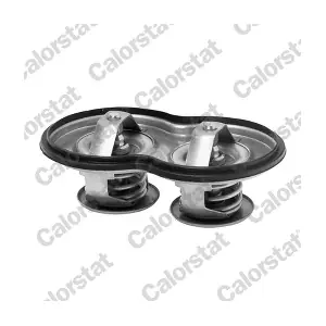 TH7117.80J CALORSTAT by Vernet
