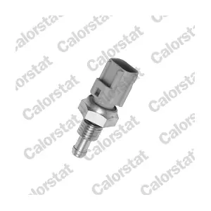 CALORSTAT by Vernet WS2596