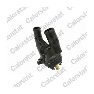 CALORSTAT by Vernet TE708998J