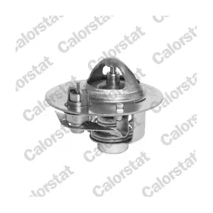 CALORSTAT by Vernet TH5980.88J