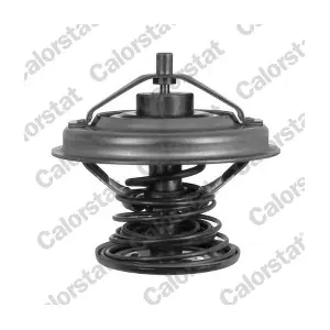 CALORSTAT by Vernet TH6242.92J
