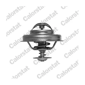 CALORSTAT by Vernet TH5083.83J