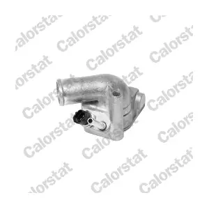 CALORSTAT by Vernet TH6517.92J