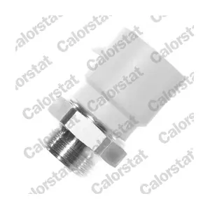 TS1273 CALORSTAT by Vernet
