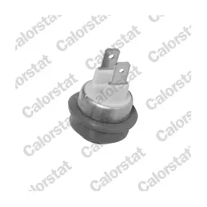 CALORSTAT by Vernet TS2869