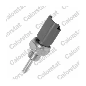 CALORSTAT by Vernet WS2633
