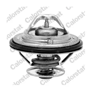 CALORSTAT by Vernet TH6529.87J