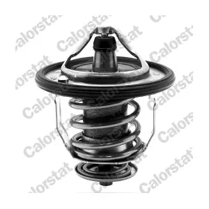 CALORSTAT by Vernet TH543482J