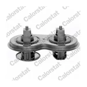 TH7106.83J CALORSTAT by Vernet