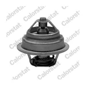 CALORSTAT by Vernet TH7011.87J