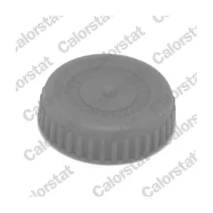 CALORSTAT by Vernet RC0188