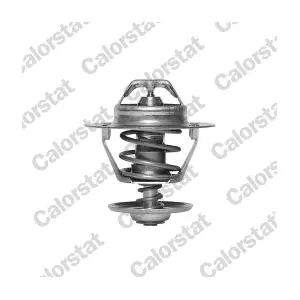 CALORSTAT by Vernet TH6293.82J