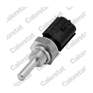 CALORSTAT by Vernet WS3060