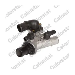 TH653980J CALORSTAT by Vernet