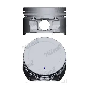 8713940000 NURAL