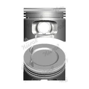 87-307700-10 NURAL