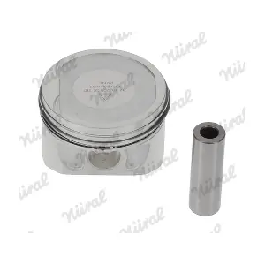 87 104200 30 NURAL