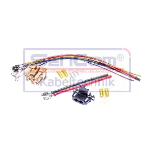 3C1820015FSK SenCom