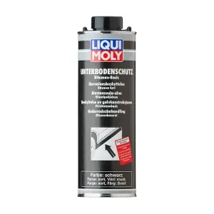 2889 LIQUI MOLY