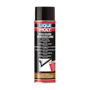6107 LIQUI MOLY