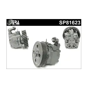 SP81623 ERA Benelux