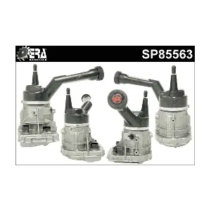 SP85563 ERA Benelux