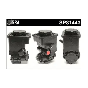 SP81443 ERA Benelux