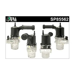 SP85562 ERA Benelux