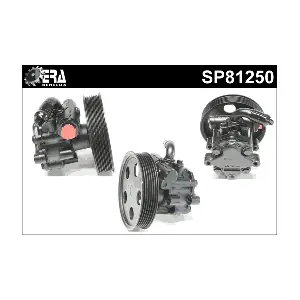 SP81250 ERA Benelux