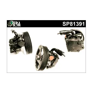 SP81391 ERA Benelux