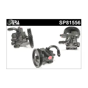 SP81556 ERA Benelux