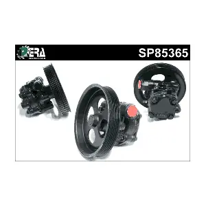 SP85365 ERA Benelux
