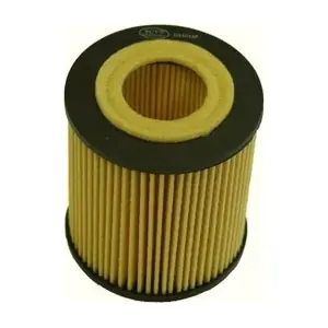 SCT - MANNOL SH4043P