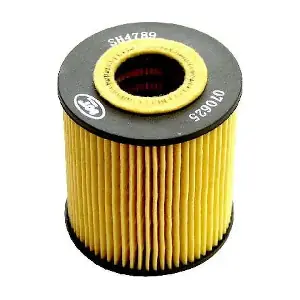 SCT - MANNOL SH 4789 P