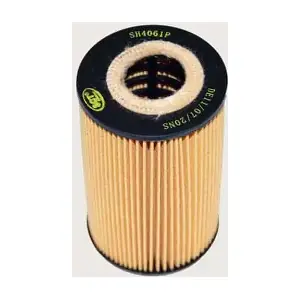 SCT - MANNOL SH 4061 P